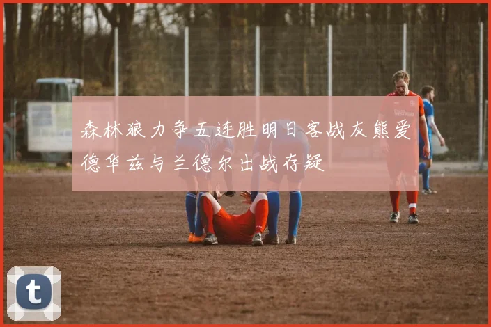 森林狼力争五连胜明日客战灰熊爱德华兹与兰德尔出战存疑