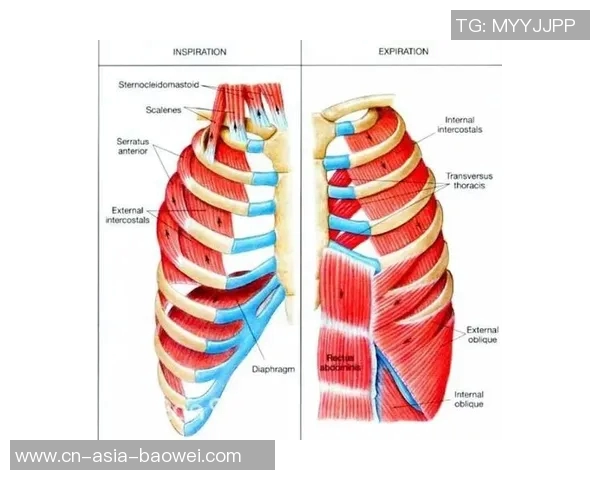 文班需提升核心力量英格拉姆训练后表现显著提升 文班需提升核心力量英格拉姆训练后表现显著提升