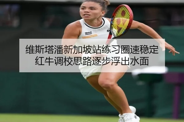 维斯塔潘新加坡站练习圈速稳定 红牛调校思路逐步浮出水面